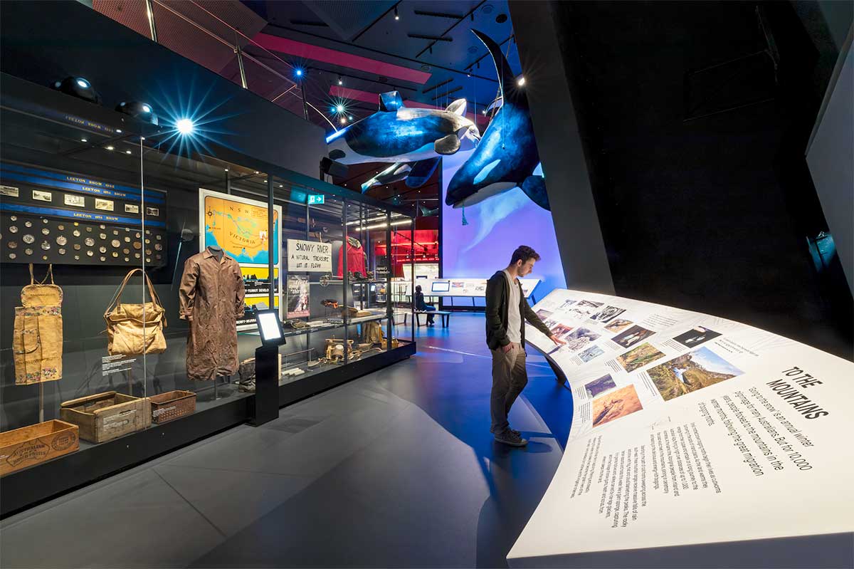 A visitor views exhibition text and images. The gallery space features a large glass cabinet displaying museum objects, and orca sculptures hanging from the ceiling. - click to view larger image